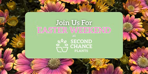 Easter Weekend at Second Chance Plants - Hanover, PA
