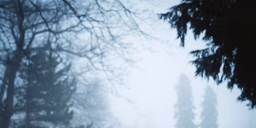 PREMIERE : Robert Palfrader -Testament \/\/ im STADTSAAL Wien