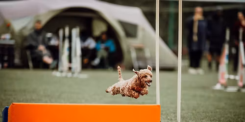 OTWARTE treningi agility 20\/12\/2025 - Hala Caniversum, Libert\u00f3w