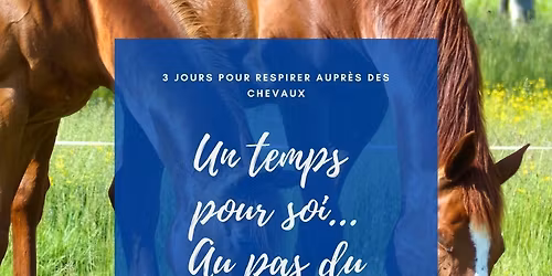 Un temps pour soi... au pas du cheval 