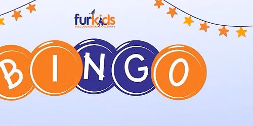 Senior Dog Bingo at Furkids
