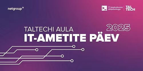 IT-ametite p\u00e4ev