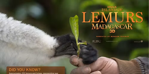 World Lemur Day