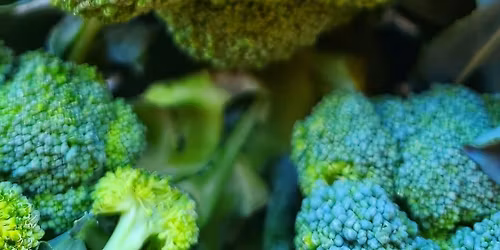 Barcelo Gardens Farmer's Market 