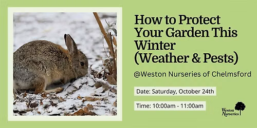 How to Protect Your Garden this Winter From Animals & Weather *Free Event*
