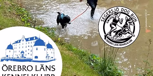 \u00d6LKK | Segersj\u00f6 Dog Run 2026