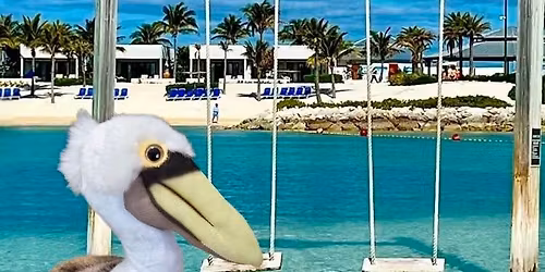Pelican Pete's Caribbean Adventure