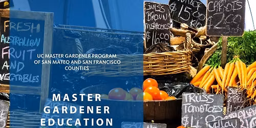 Master Gardener Education Table at the Divisadero Farmers' Market
