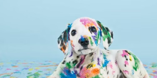 Painting with Puppies