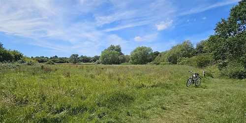 Exploring North Greenford \u2013 Green Spaces, Growing & Community