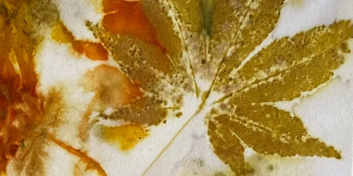 Botanical Eco-Printing