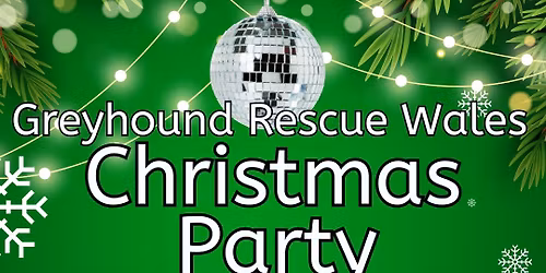Greyhound Rescue Wales Christmas Party!