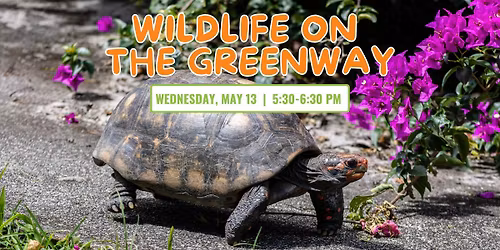 Wildlife on the Greenway