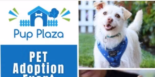Pet Adoption Event 