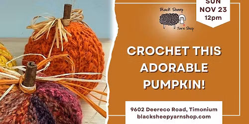 Crochet This Adorable Pumpkin!