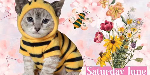 Last Chance Cat Ranch June Craft & Bake sale u
