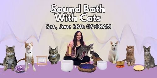 Sound Bath with Cats