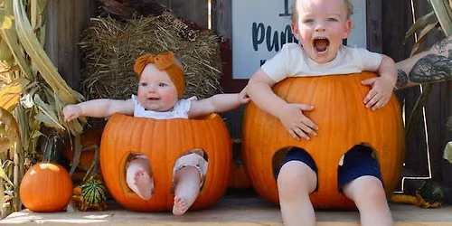 Baby's First Pumpkin! At Kelkenberg Farm of Clarence