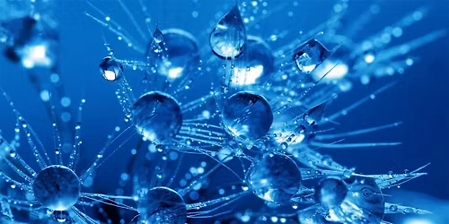 New EBA Academy training module on liquidity and cash management