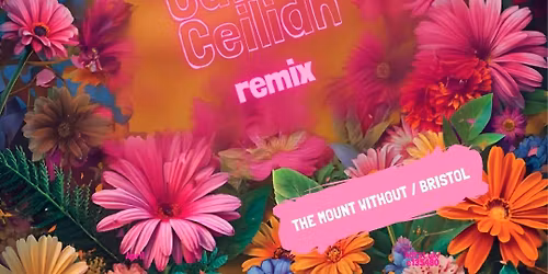 Call Me Ceilidh - EASTER @The Mount Without