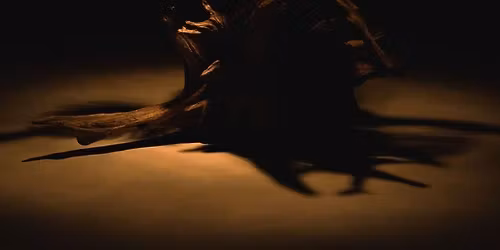 Mindfulness in Action: Ikebana, the Way of Flowers