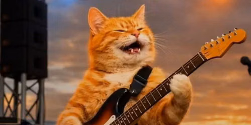 Highway Cats WWC Opelika Alabama 