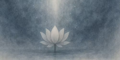 Monthly Meditation Workshop in the Scalar Room - Clear & Release