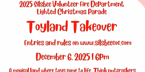 Christmas in The Big Thicket 