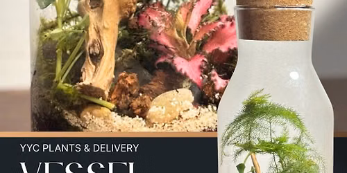 Closed Vessel Terrarium | Buffalo 9 Brewing Co.