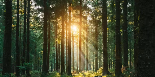 Valoa luonnossa -teemainen luontoviikonloppu