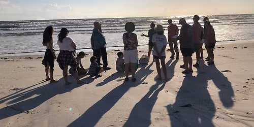 Shark Tooth Exploration Walk