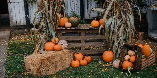 V. T\u00d6K\u00f6l\u0151s napok! \ud83d\ude31\ud83c\udf83\ud83c\udf42\ud83d\udc34