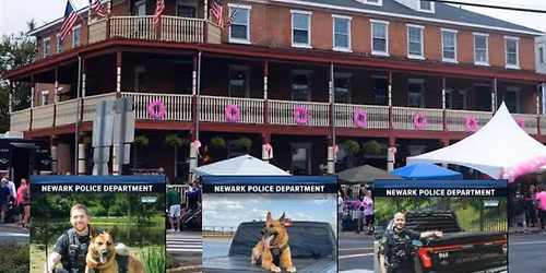 Trading Card Event - Deer Park Tavern