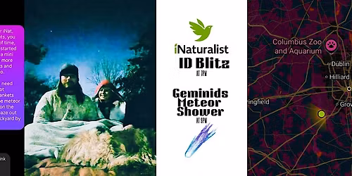 iNat ID Blitz & Geminids Meteor Shower Viewing