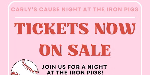 Carly's Cause Night at the IronPigs