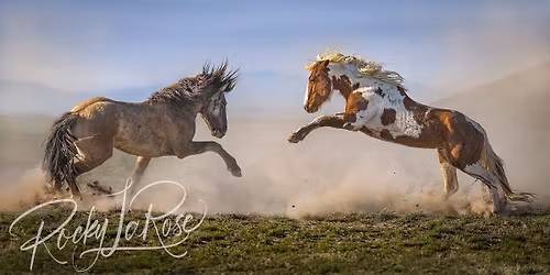 Rocky La Rose: "Wild at Heart" 