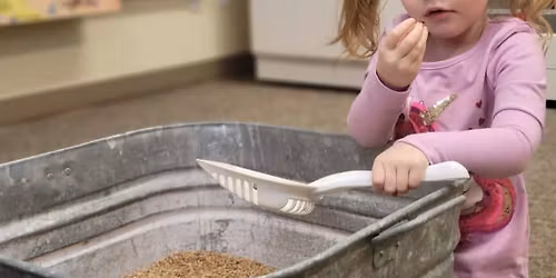 Pop in and Play with the WDM