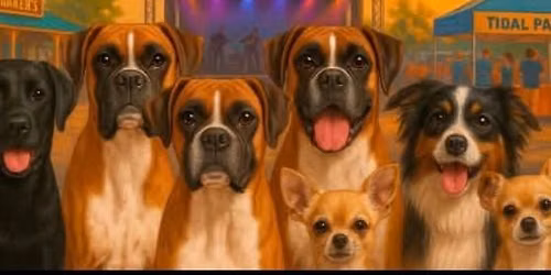 Boxerpalooza V