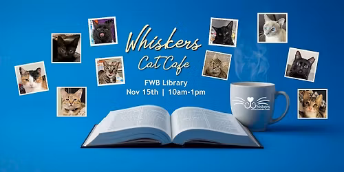 Cat Caf\u00e9 at the Fwb Library Nov 15th