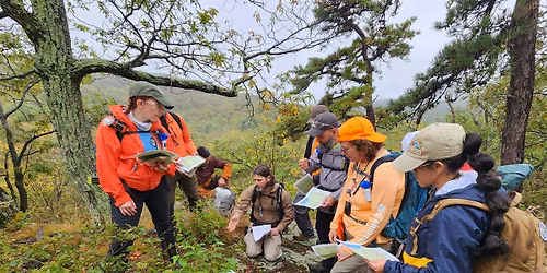 Bushwhacking 2-Distance