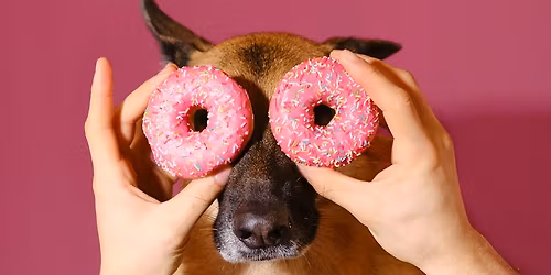 Adult Night Out: Dog Gone Trivia with Dog and Donut Pairing