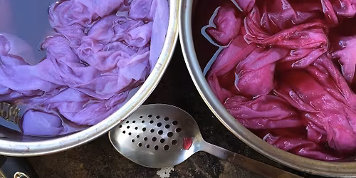 Introduction to Botanical Dyeing- Extraction Method  