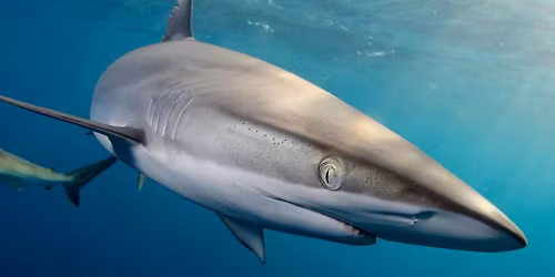 National Geographic Live - Madison