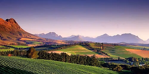 South African Wine Dinner  