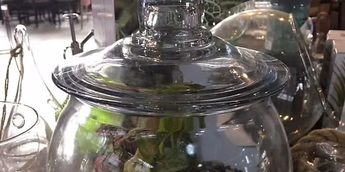 Terrarium Workshop