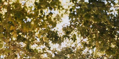 MOD | the modern market 