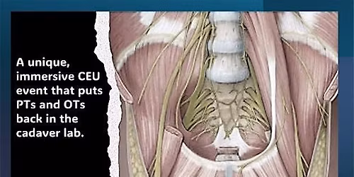 Pelvic Floor Cadaver Anatomy: In-Depth Cadaver Exploration | Pelvic Floor