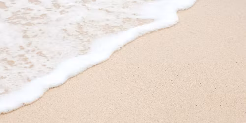 La belle vie | spectacles-b\u00e9n\u00e9fice 2026