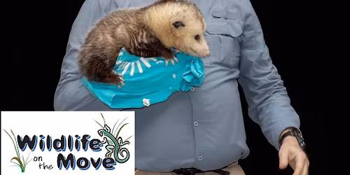 Wildlife On The Move Presents Amazing Adaptations at Southlake Public Library (Southlake, TX)