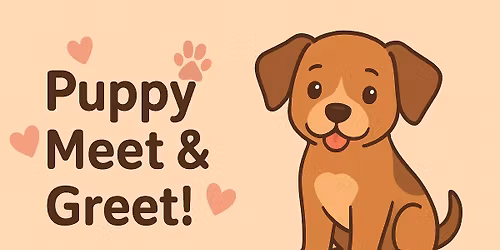 Pet Supplies Plus - Adoption Event